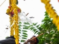 19krishna-25