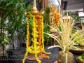 19vishu-7