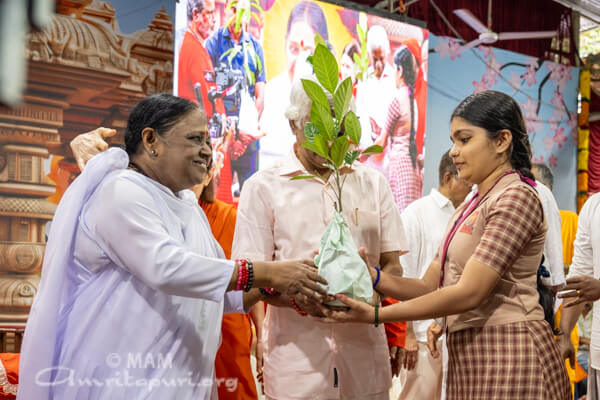Amma distributing saplings on World Environment Day