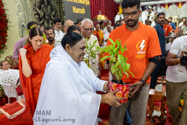 Amma distributing saplings
