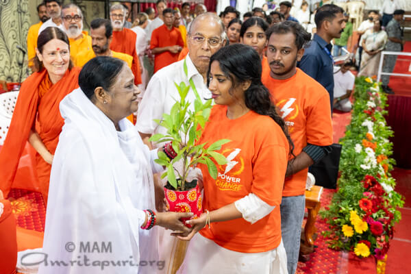 Amma distributing saplings
