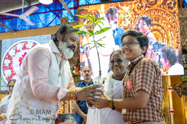 Saplings for the youth