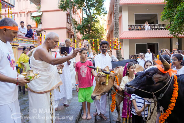 Go Puja